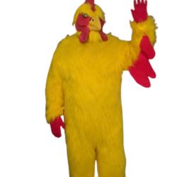Chicken