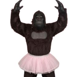 Gorilla